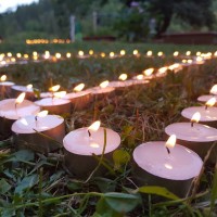 Vesak 2018, un VIDEO a La Pagoda – 3 giugno VIDEO