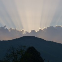 Un 3 agosto tra Rane, Tartarughe e Alberi in un bellissimo ambiente meditativo